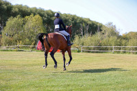 2025 - Conor - Harvest Horse Show - Sunday, September 13th 03473