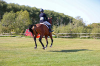 2025 - Conor - Harvest Horse Show - Sunday, September 13th 03474