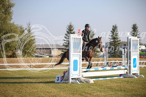 2025 - Karlee - Harvest Horse Show - Sunday, September 13th 00110