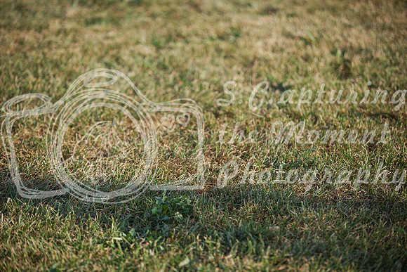 2025 - Karlee - Harvest Horse Show - Sunday, September 13th 00109
