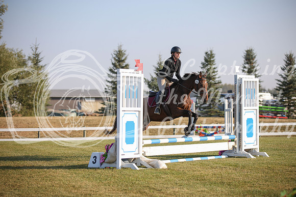 2025 - Karlee - Harvest Horse Show - Sunday, September 13th 00112