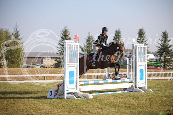 2025 - Karlee - Harvest Horse Show - Sunday, September 13th 00113
