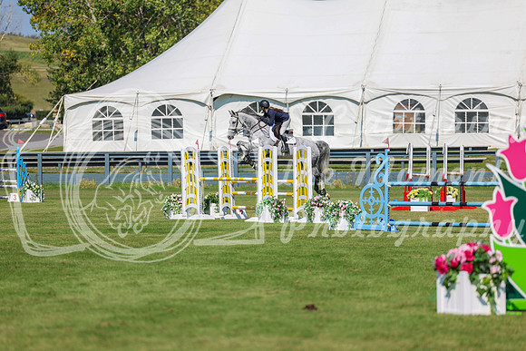 2025 - Shea - Fall Finale - Saturday September 13th - 10347