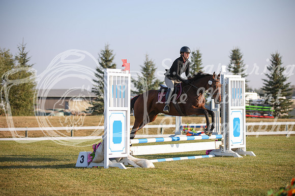 2025 - Karlee - Harvest Horse Show - Sunday, September 13th 00114