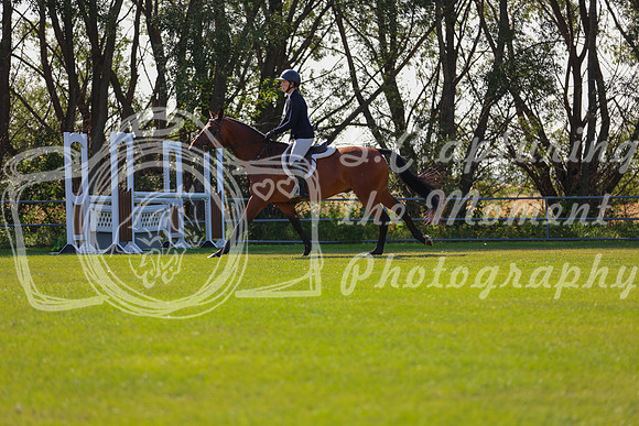 2025 - Conor - Harvest Horse Show - Sunday, September 13th 03481