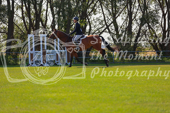 2025 - Conor - Harvest Horse Show - Sunday, September 13th 03483
