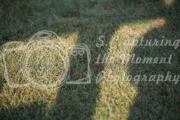 2025 - Karlee - Harvest Horse Show - Sunday, September 13th 00127