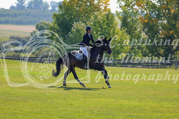 2025 - Shea - Fall Finale - Saturday September 13th - 03444