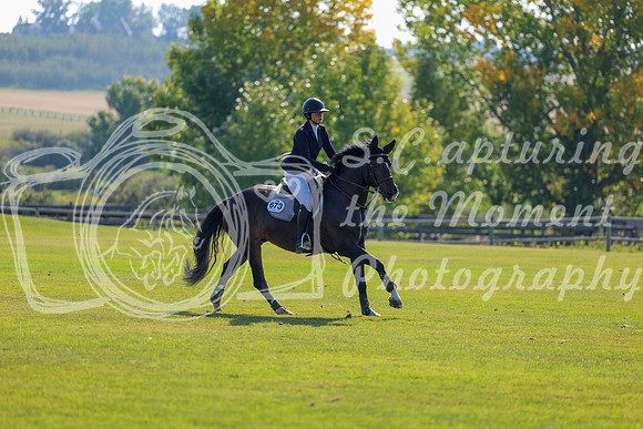 2025 - Shea - Fall Finale - Saturday September 13th - 03445