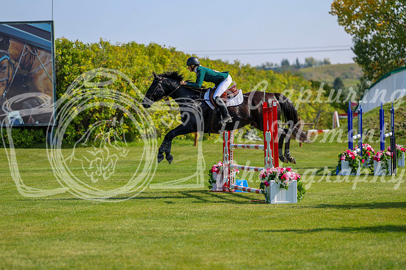 2025 - Shea - Fall Finale - Saturday September 13th - 08874