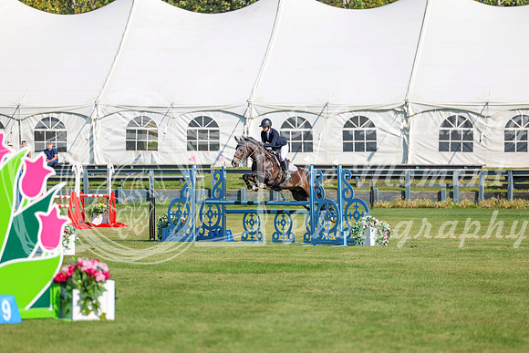 2025 - Shea - Fall Finale - Saturday September 13th - 03455