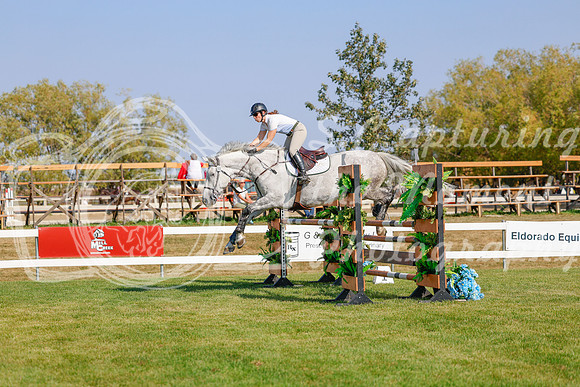 2025 - Haylee - Harvest Horse Show - Sunday, September 13th 06187
