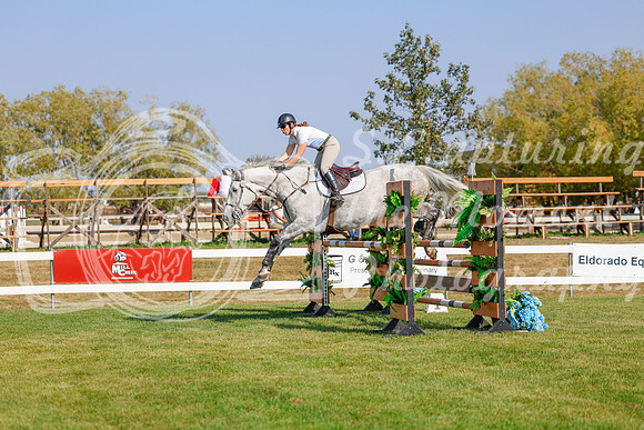 2025 - Haylee - Harvest Horse Show - Sunday, September 13th 06188