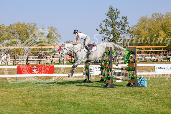 2025 - Haylee - Harvest Horse Show - Sunday, September 13th 06189
