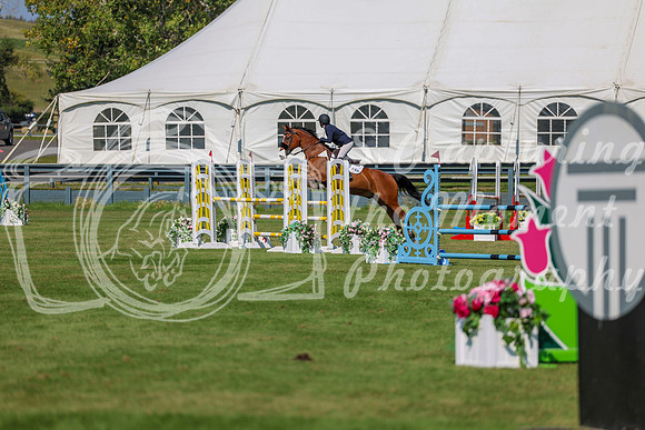 2025 - Shea - Fall Finale - Saturday September 13th - 10746
