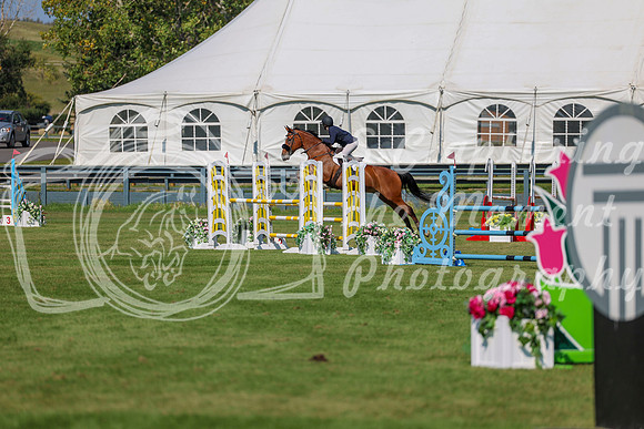 2025 - Shea - Fall Finale - Saturday September 13th - 10747
