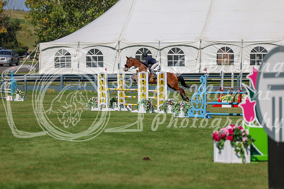 2025 - Shea - Fall Finale - Saturday September 13th - 10748