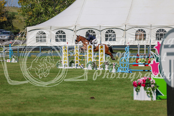 2025 - Shea - Fall Finale - Saturday September 13th - 10749