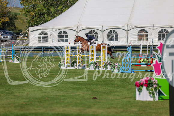2025 - Shea - Fall Finale - Saturday September 13th - 10750