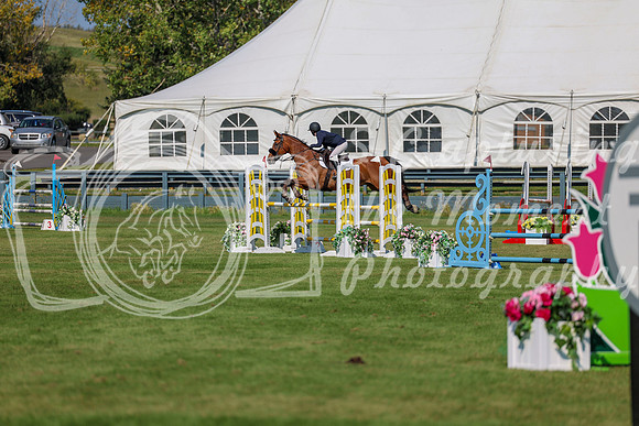 2025 - Shea - Fall Finale - Saturday September 13th - 10751