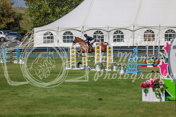 2025 - Shea - Fall Finale - Saturday September 13th - 10752