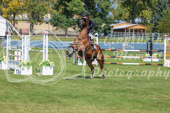 2025 - Shea - Fall Finale - Saturday September 13th - 10857