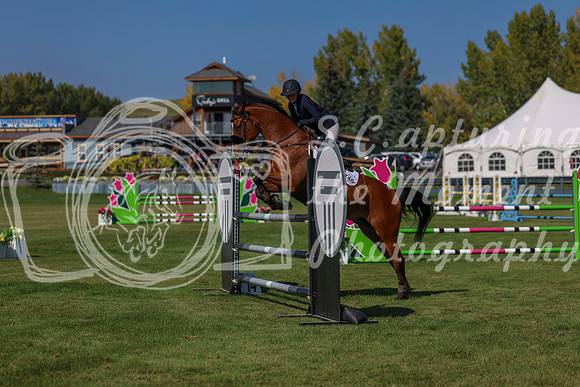 2025 - Shea - Fall Finale - Saturday September 13th - 10859