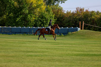 2025 - Shea - Fall Finale - Saturday September 13th - 03056