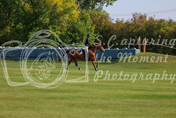 2025 - Shea - Fall Finale - Saturday September 13th - 03056