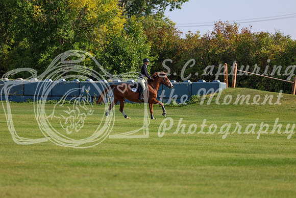 2025 - Shea - Fall Finale - Saturday September 13th - 03057