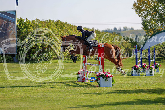 2025 - Shea - Fall Finale - Saturday September 13th - 03061
