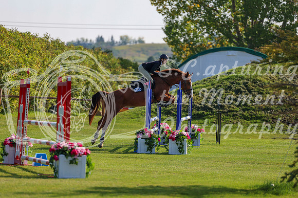 2025 - Shea - Fall Finale - Saturday September 13th - 03068