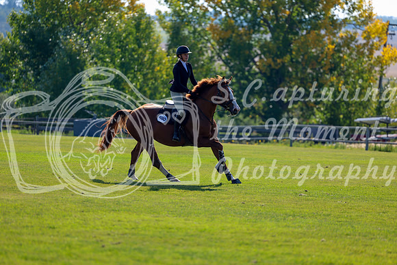 2025 - Shea - Fall Finale - Saturday September 13th - 03073