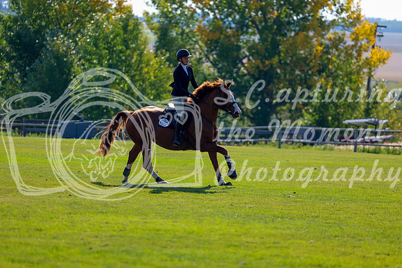2025 - Shea - Fall Finale - Saturday September 13th - 03074