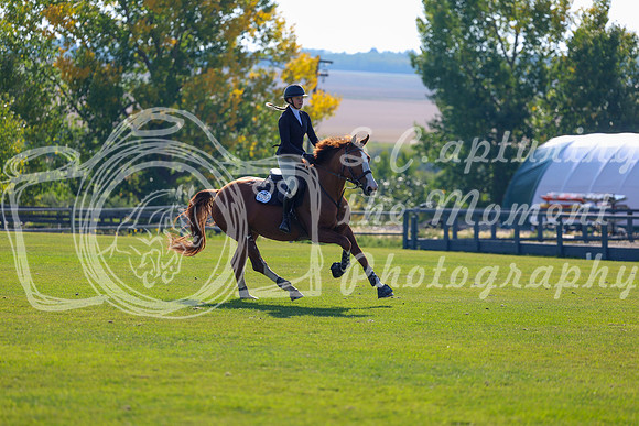 2025 - Shea - Fall Finale - Saturday September 13th - 03075