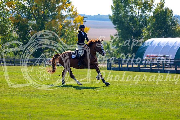 2025 - Shea - Fall Finale - Saturday September 13th - 03076