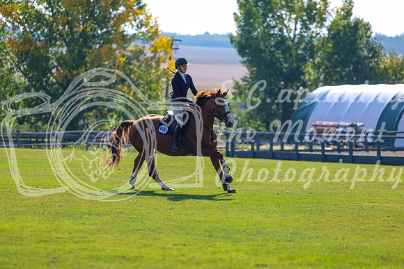 2025 - Shea - Fall Finale - Saturday September 13th - 03077