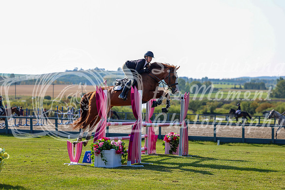 2025 - Shea - Fall Finale - Saturday September 13th - 03080