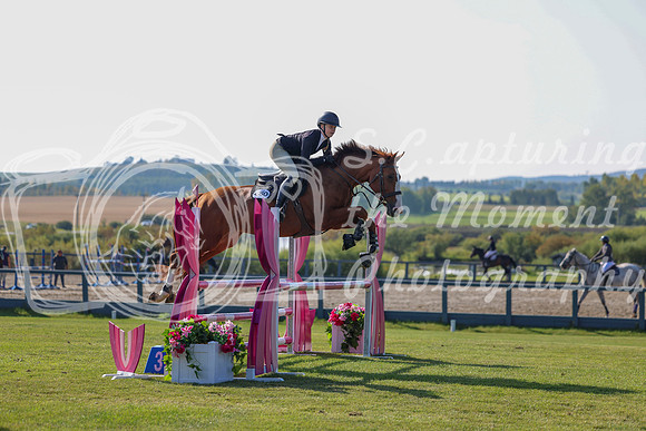 2025 - Shea - Fall Finale - Saturday September 13th - 03082