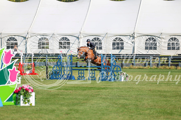 2025 - Shea - Fall Finale - Saturday September 13th - 03086