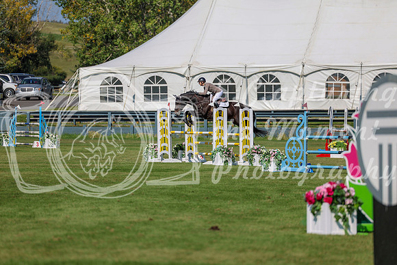 2025 - Shea - Fall Finale - Saturday September 13th - 11069
