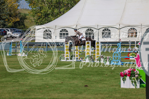 2025 - Shea - Fall Finale - Saturday September 13th - 11072