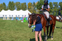 2025 - Shea - Fall Finale - Saturday September 13th - 11145