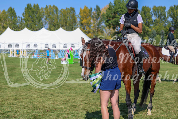 2025 - Shea - Fall Finale - Saturday September 13th - 11145