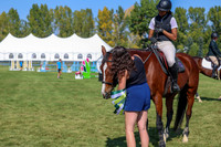 2025 - Shea - Fall Finale - Saturday September 13th - 11146