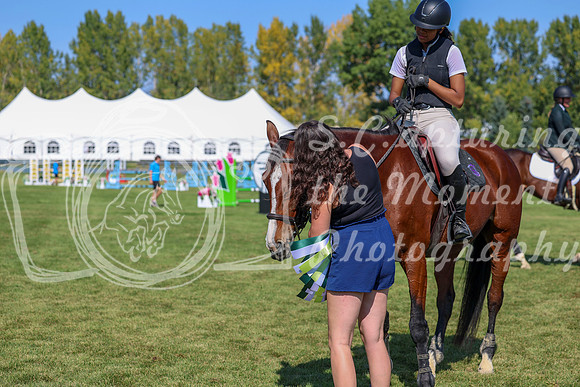 2025 - Shea - Fall Finale - Saturday September 13th - 11146