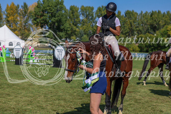 2025 - Shea - Fall Finale - Saturday September 13th - 11154