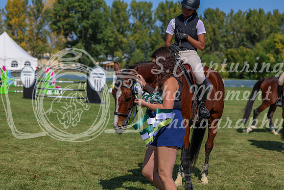 2025 - Shea - Fall Finale - Saturday September 13th - 11156