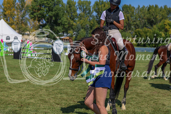 2025 - Shea - Fall Finale - Saturday September 13th - 11157