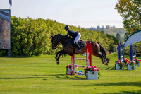 2025 - Shea - Fall Finale - Saturday September 13th - 02915